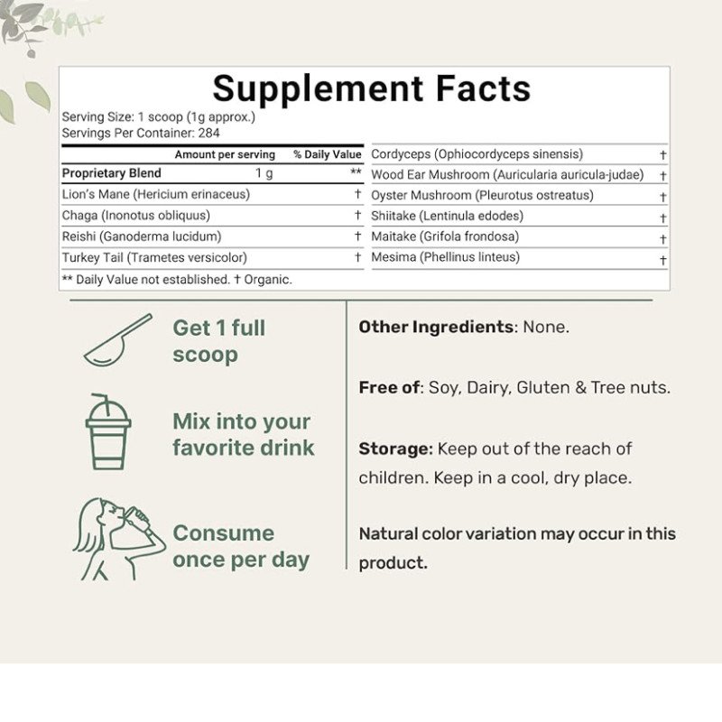 Mega Mushroom 10 in 1 Complex Formula Powder