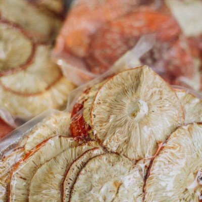 Amanita muscaria (Mushrooms)